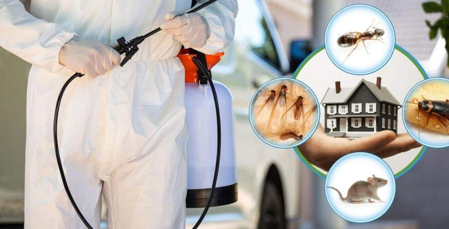 Kırkağaç Böcek İlaçlama