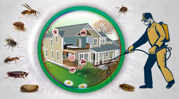 Kırkağaç Böcek İlaçlama