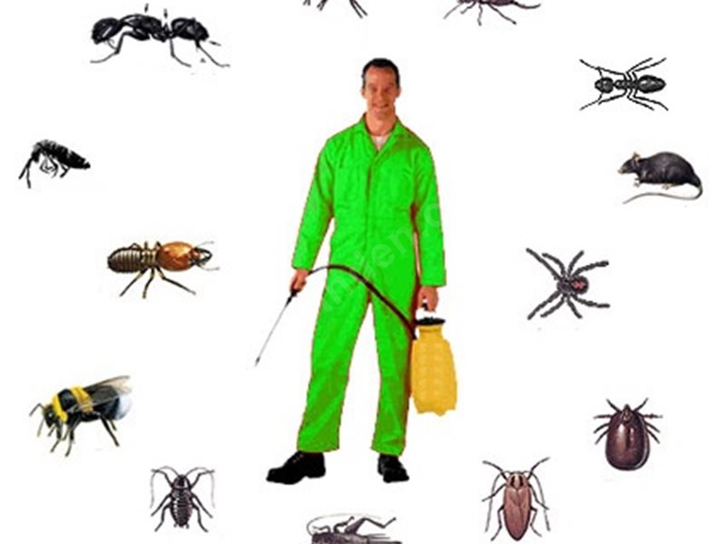 Kırkağaç Böcek İlaçlama